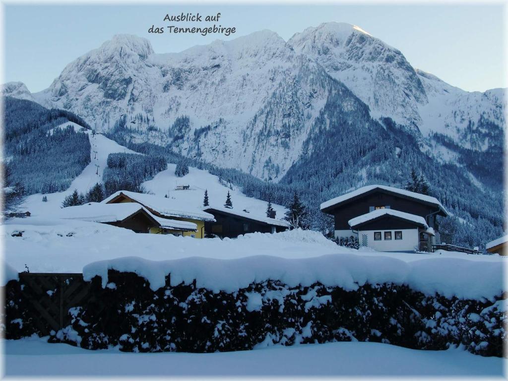 Apartment Dreier - Salzburger Land Abtenau Bagian luar foto